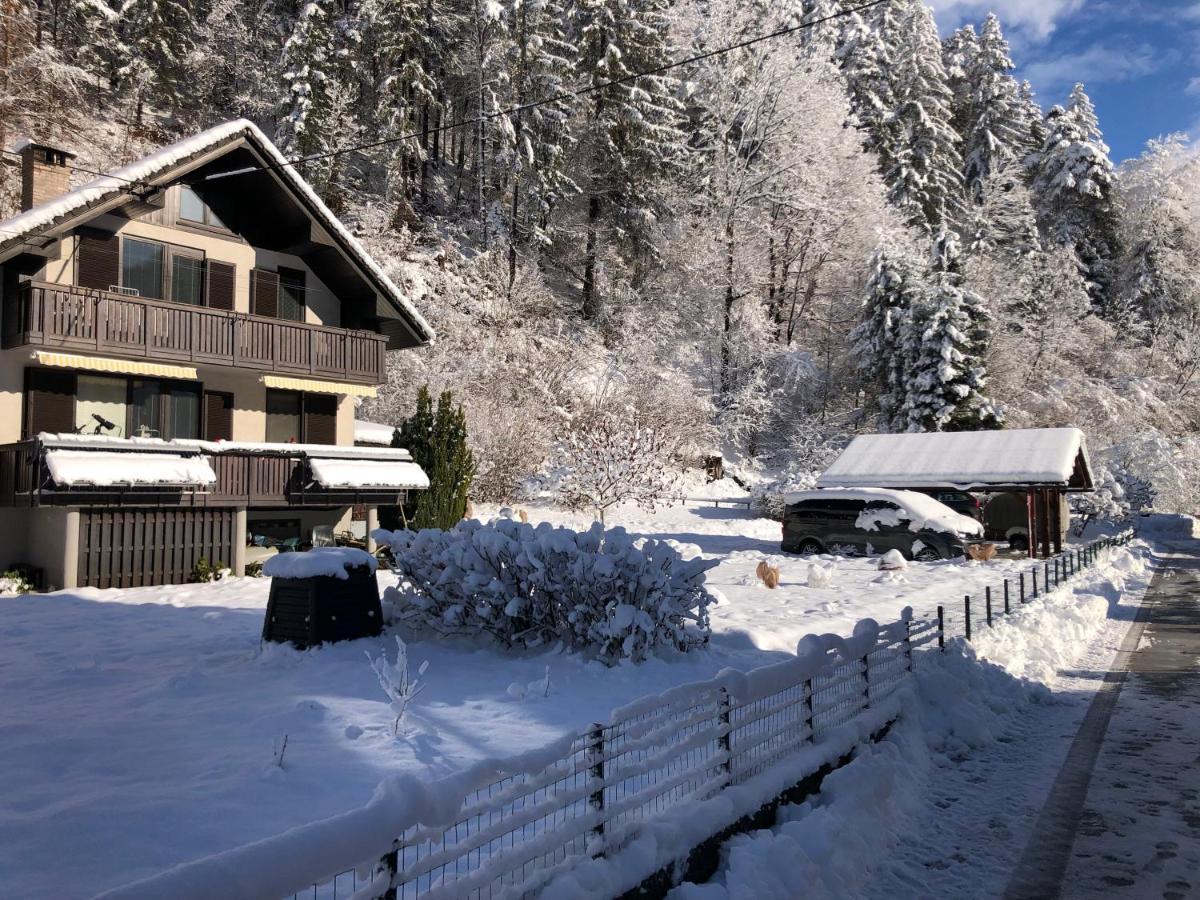 Apartament Savadolinka House Mojstrana Zewnętrze zdjęcie
