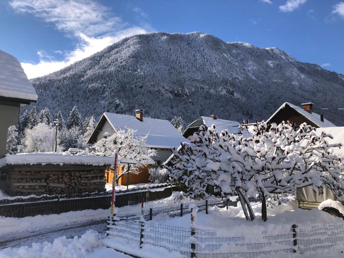 Apartament Savadolinka House Mojstrana Zewnętrze zdjęcie