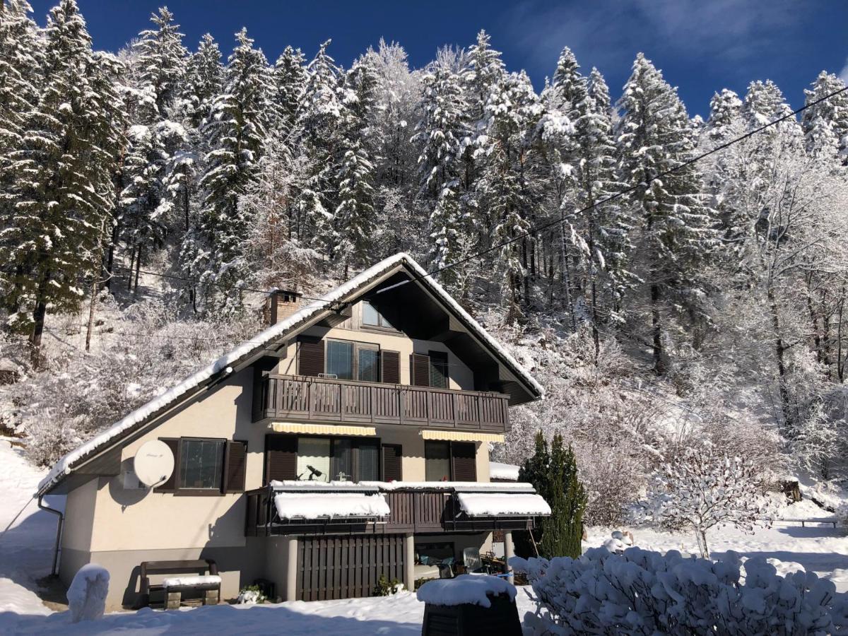 Apartament Savadolinka House Mojstrana Zewnętrze zdjęcie