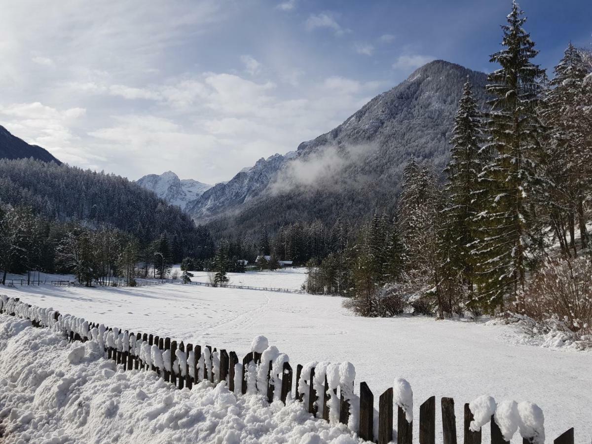 Apartament Savadolinka House Mojstrana Zewnętrze zdjęcie