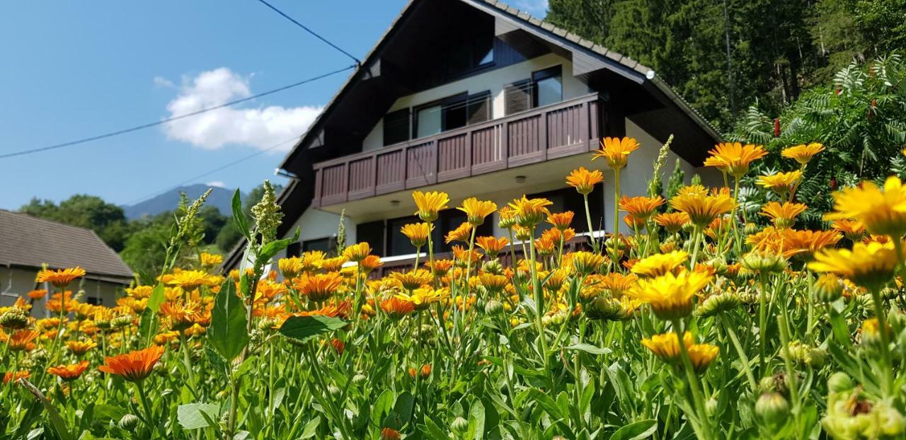 Apartament Savadolinka House Mojstrana Zewnętrze zdjęcie