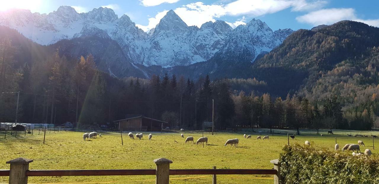 Apartament Savadolinka House Mojstrana Zewnętrze zdjęcie
