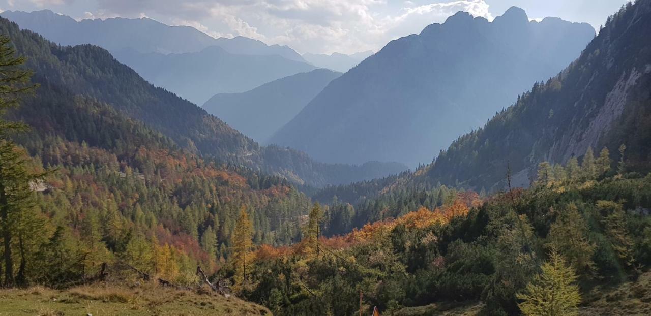 Apartament Savadolinka House Mojstrana Zewnętrze zdjęcie