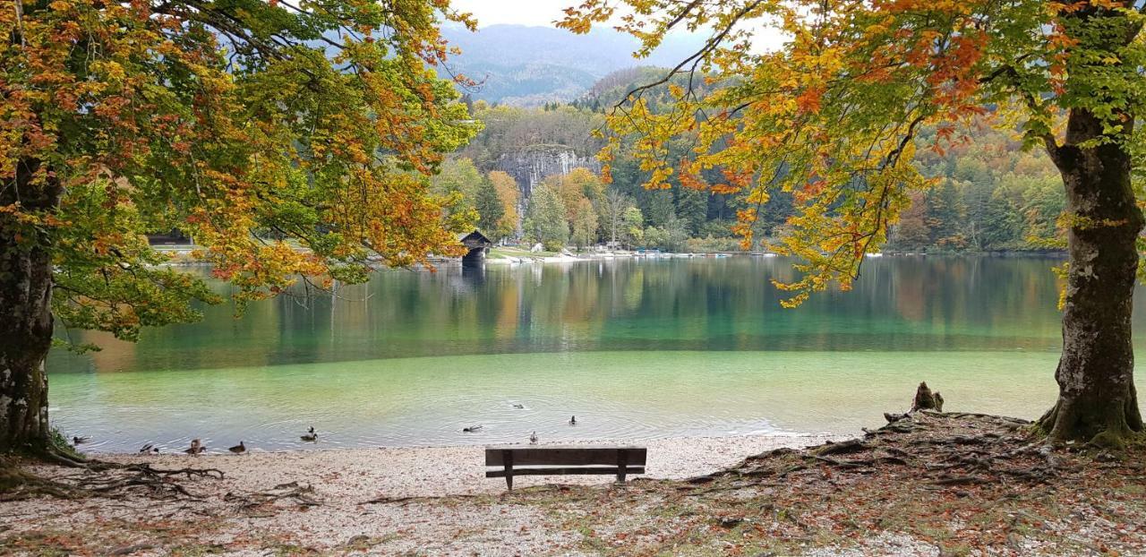 Apartament Savadolinka House Mojstrana Zewnętrze zdjęcie