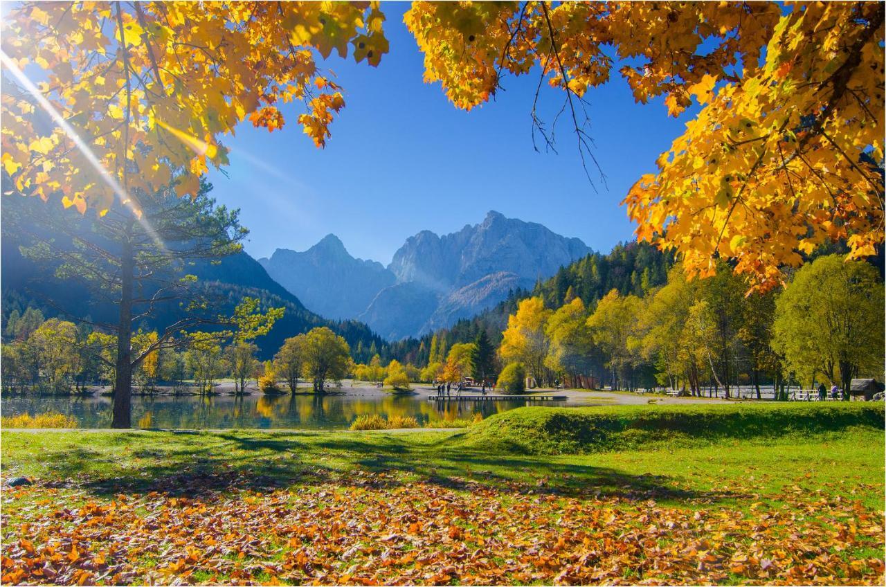Apartament Savadolinka House Mojstrana Zewnętrze zdjęcie